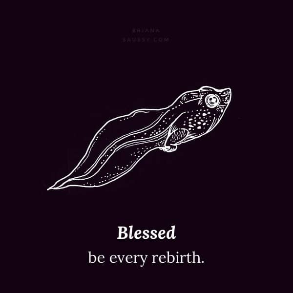 Blessed be every rebirth.