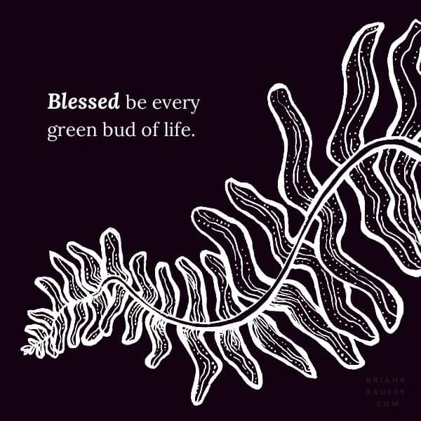 Blessed be every green bud of life.