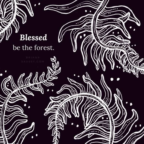 Blessed be the forest.