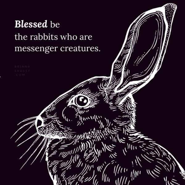 Blessed be the rabbits who are messenger creatures.