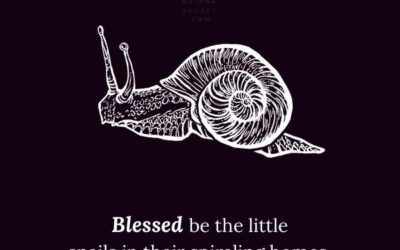 Blessed be the little snails in their spiraling homes.