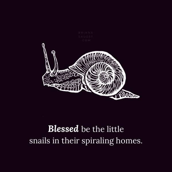 Blessed be the little snails in their spiraling homes.