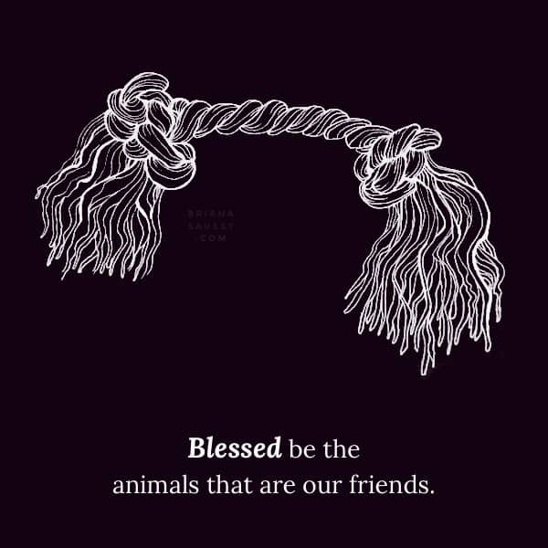 Blessed be the animals that are our friends.