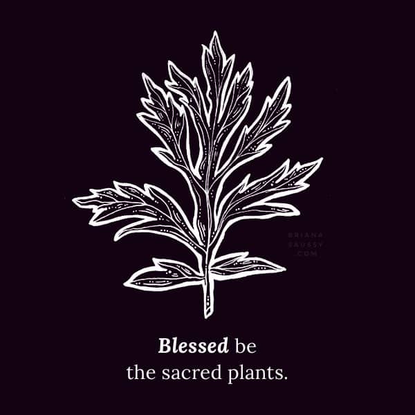 Blessed be the sacred plants.