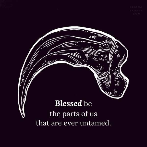 Blessed be the parts of us that are ever untamed.